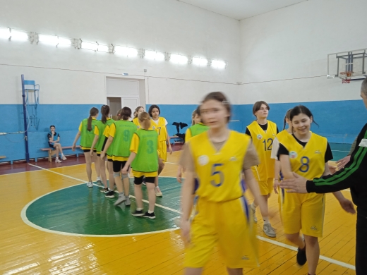Районные соревнования по баскетболу среди девушек.