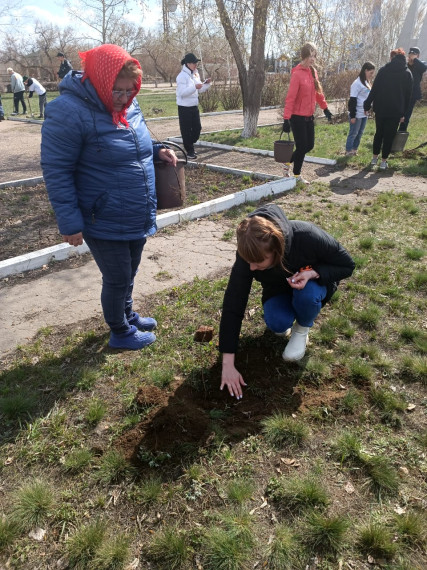 Акция «Аллея памяти».